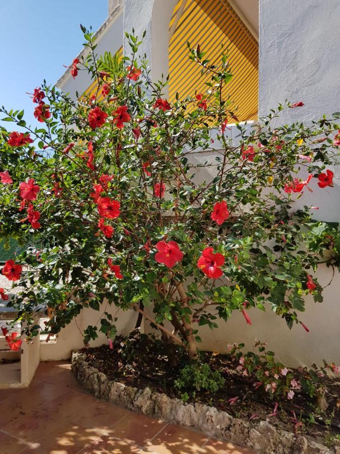 Deluxe Studio Athos 50 Mp Garden Patio Benalmadena Golf & Beach Екстериор снимка