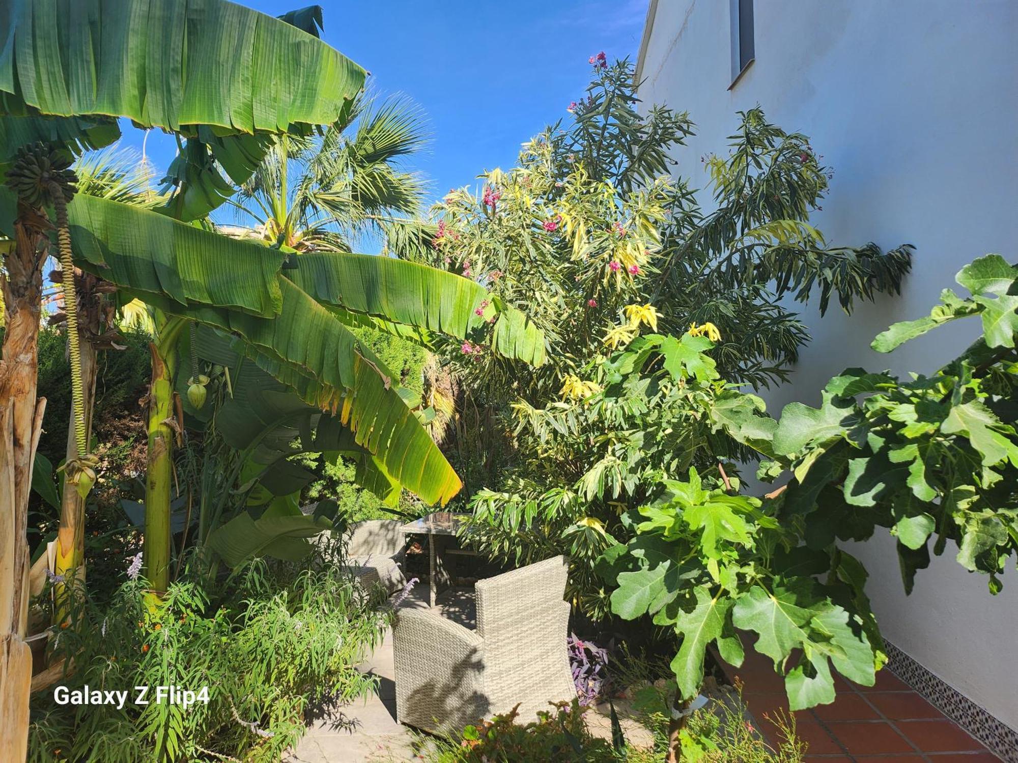 Deluxe Studio Athos 50 Mp Garden Patio Benalmadena Golf & Beach Екстериор снимка