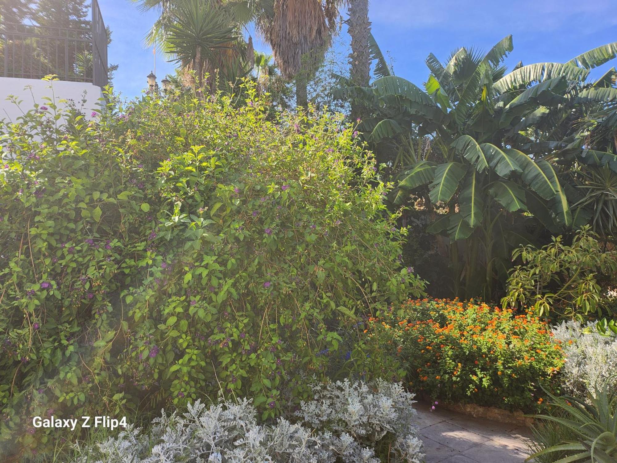 Deluxe Studio Athos 50 Mp Garden Patio Benalmadena Golf & Beach Екстериор снимка